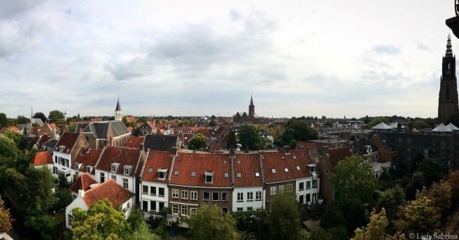 Panorama - Copyright